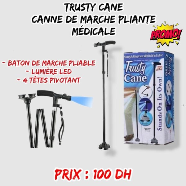 TRUSY CANE . CANNE DE MAERCHE PLIANTE MEDICALE