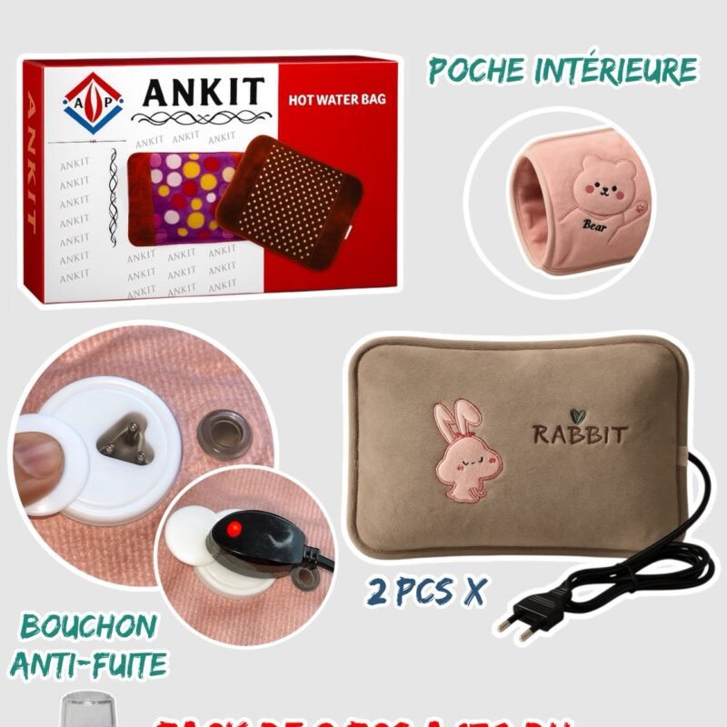 BOUILLOTTE ELECTRIQUE RECHARGEABLE