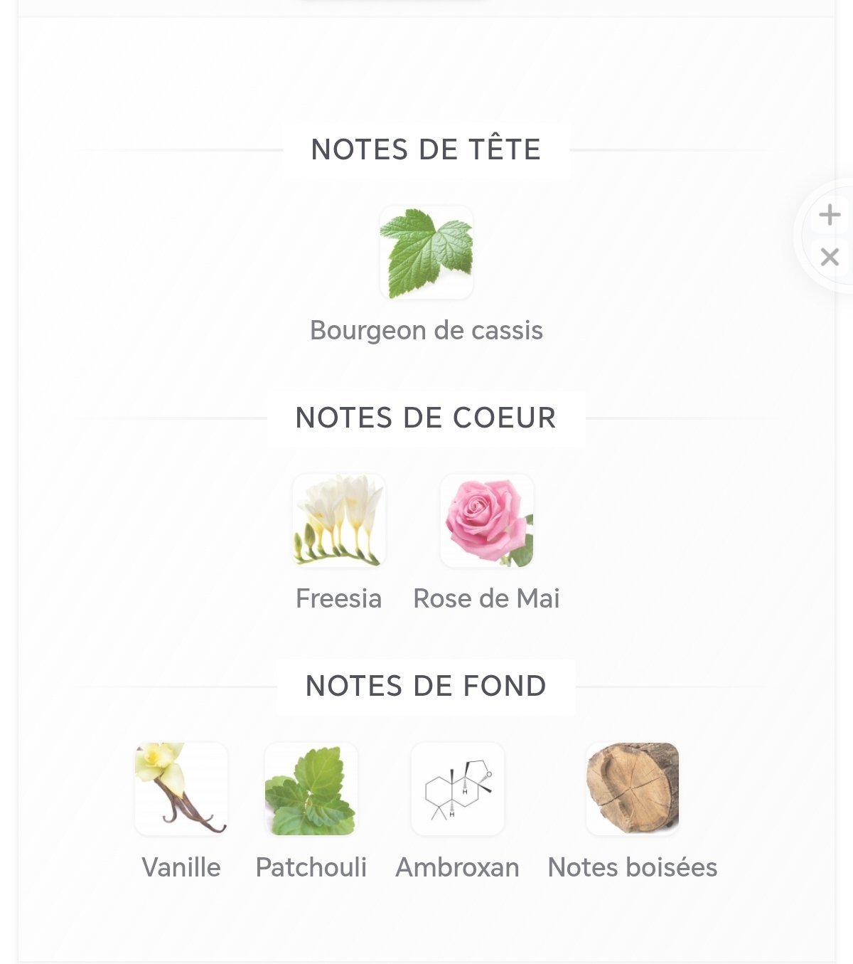 ELIGIA cassis pour femme. Pack de 5+testeur gratuit. – Image 3